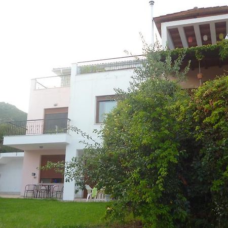 Villa Athina Palaiontsiflikion Exterior photo